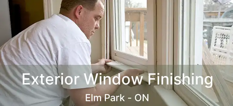  Exterior Window Finishing Elm Park - ON