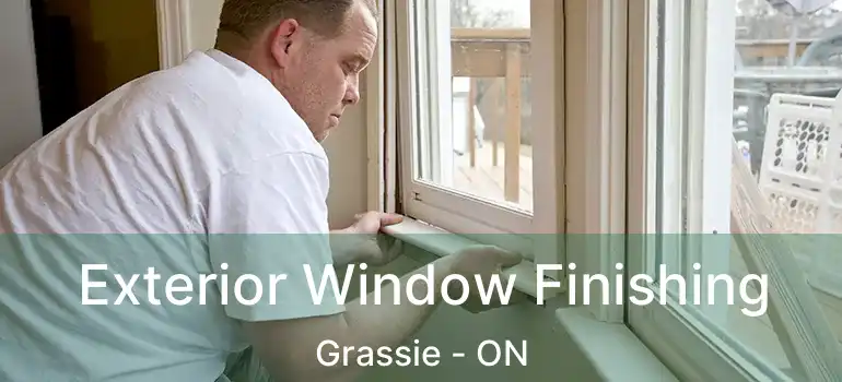  Exterior Window Finishing Grassie - ON