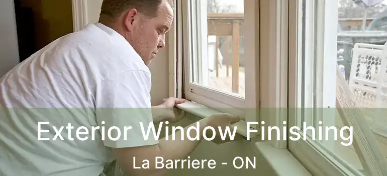 Exterior Window Finishing La Barriere - ON