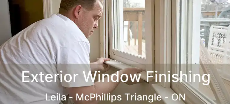  Exterior Window Finishing Leila - McPhillips Triangle - ON