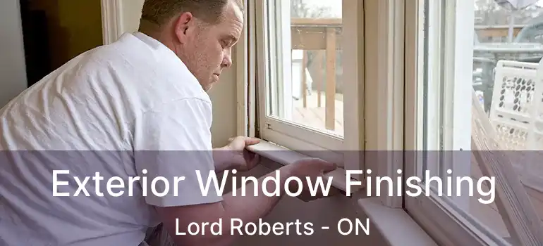  Exterior Window Finishing Lord Roberts - ON
