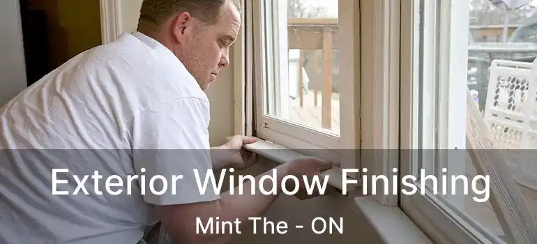  Exterior Window Finishing Mint The - ON