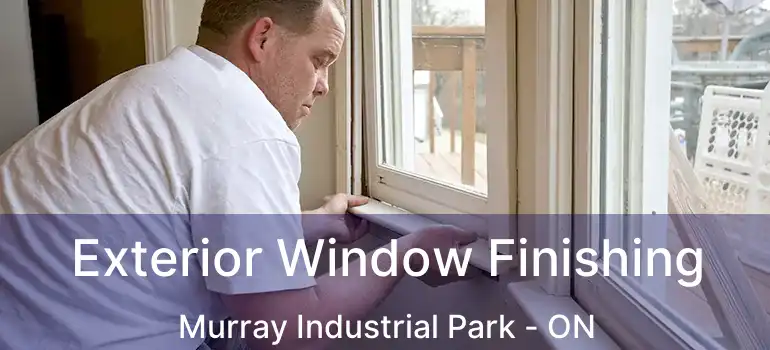  Exterior Window Finishing Murray Industrial Park - ON