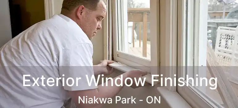  Exterior Window Finishing Niakwa Park - ON