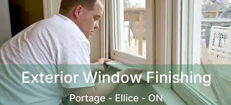  Exterior Window Finishing Portage - Ellice - ON