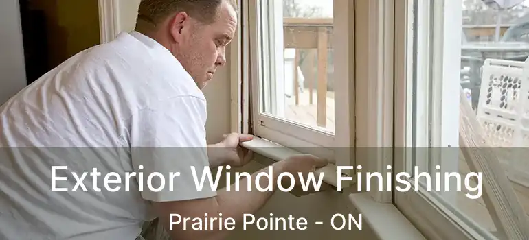  Exterior Window Finishing Prairie Pointe - ON