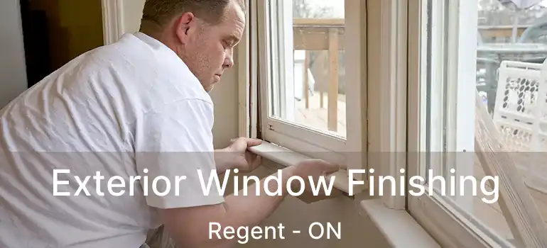  Exterior Window Finishing Regent - ON