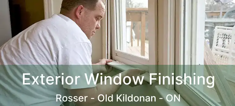  Exterior Window Finishing Rosser - Old Kildonan - ON