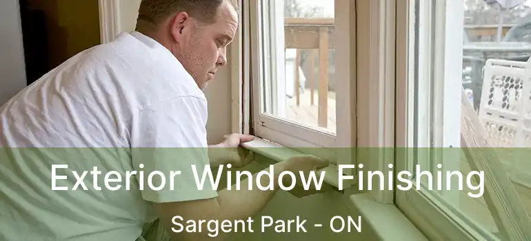  Exterior Window Finishing Sargent Park - ON