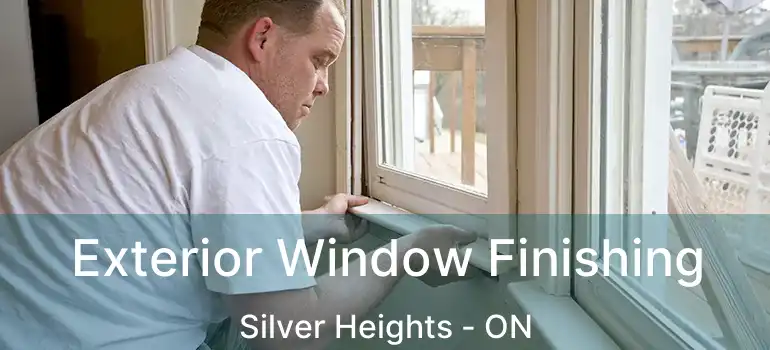  Exterior Window Finishing Silver Heights - ON
