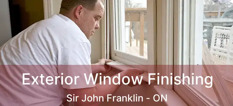  Exterior Window Finishing Sir John Franklin - ON