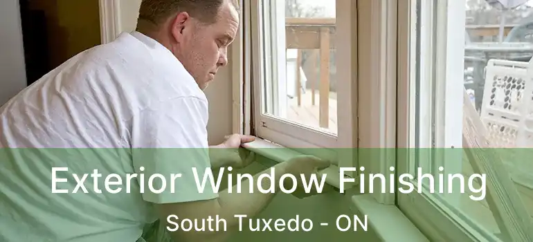  Exterior Window Finishing South Tuxedo - ON