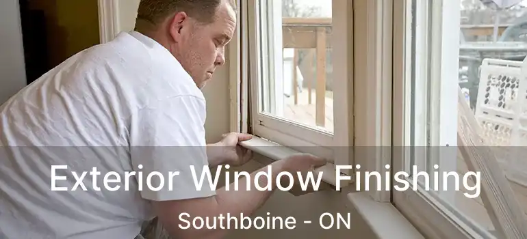  Exterior Window Finishing Southboine - ON