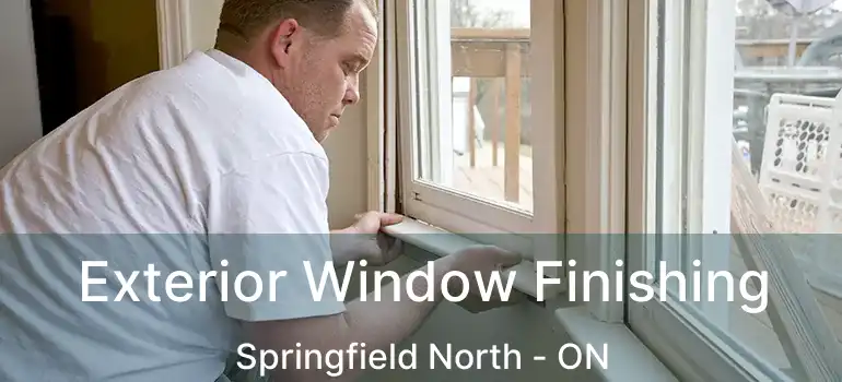  Exterior Window Finishing Springfield North - ON