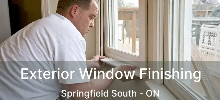  Exterior Window Finishing Springfield South - ON