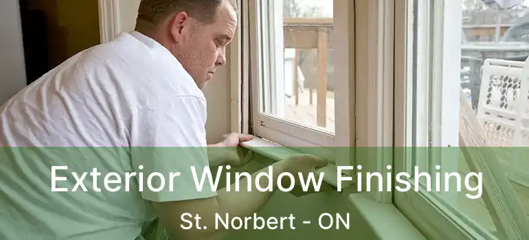  Exterior Window Finishing St. Norbert - ON