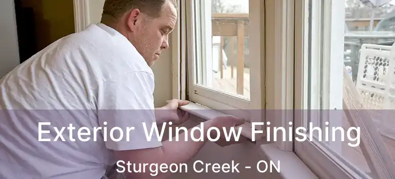  Exterior Window Finishing Sturgeon Creek - ON