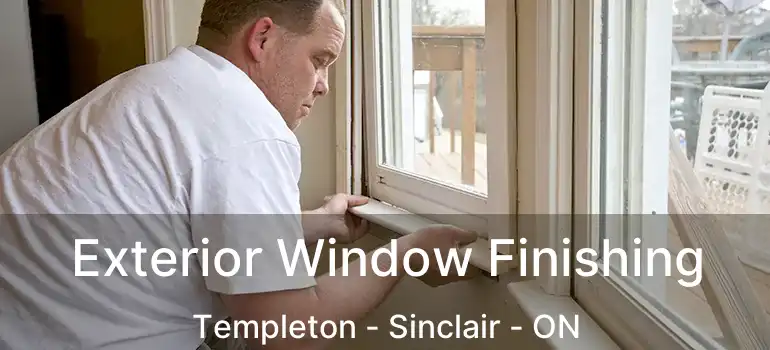  Exterior Window Finishing Templeton - Sinclair - ON