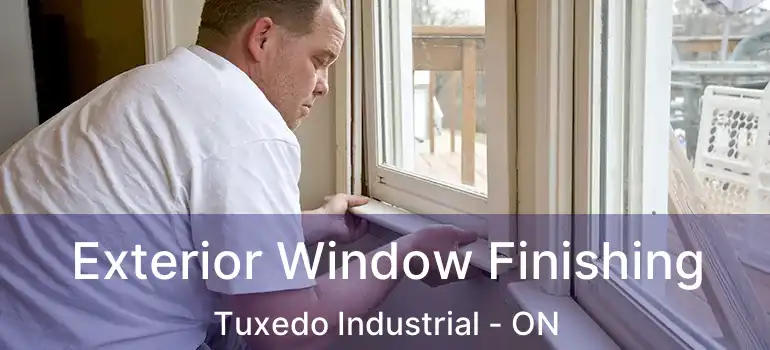  Exterior Window Finishing Tuxedo Industrial - ON