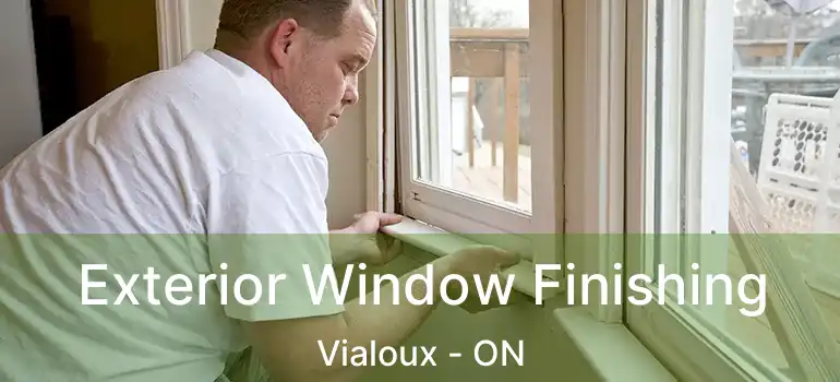  Exterior Window Finishing Vialoux - ON