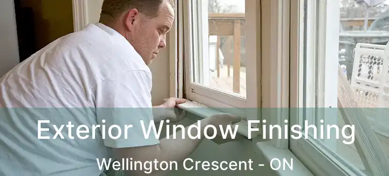  Exterior Window Finishing Wellington Crescent - ON