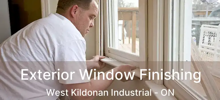  Exterior Window Finishing West Kildonan Industrial - ON