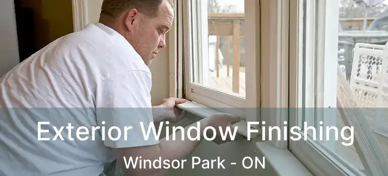  Exterior Window Finishing Windsor Park - ON