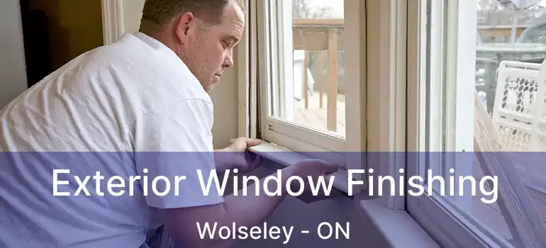  Exterior Window Finishing Wolseley - ON