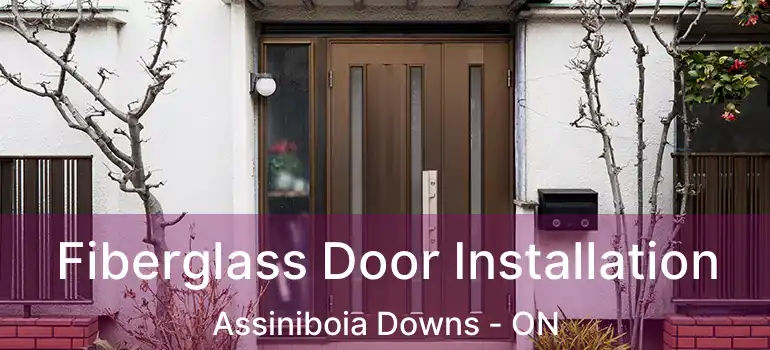  Fiberglass Door Installation Assiniboia Downs - ON