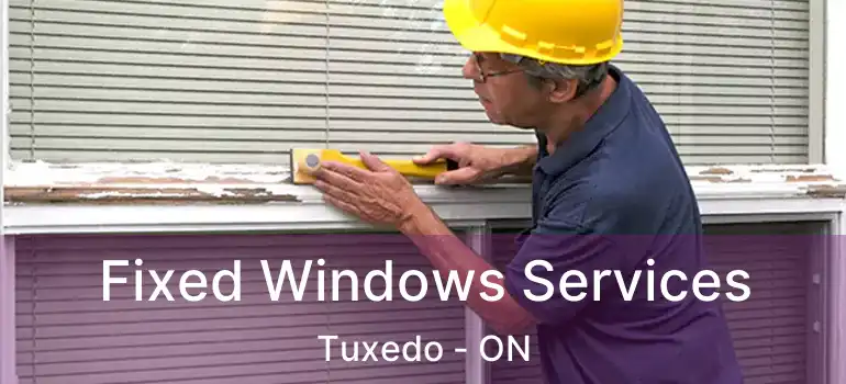  Fixed Windows Services Tuxedo - ON
