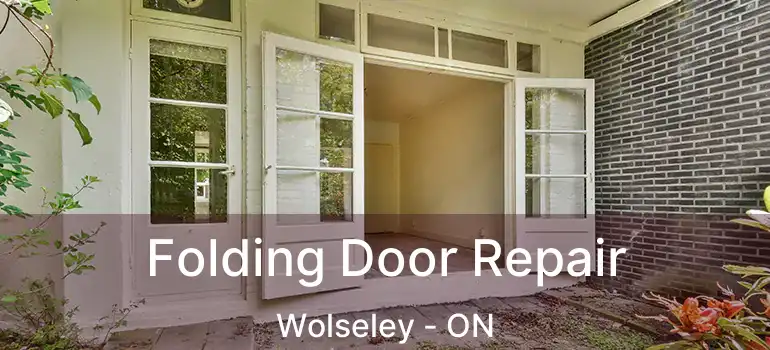  Folding Door Repair Wolseley - ON