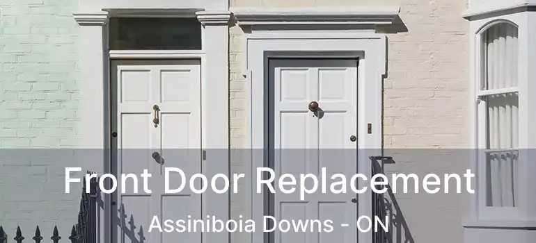  Front Door Replacement Assiniboia Downs - ON