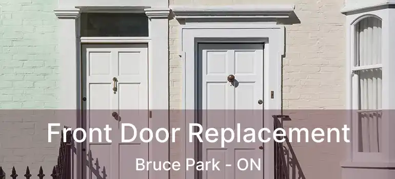  Front Door Replacement Bruce Park - ON