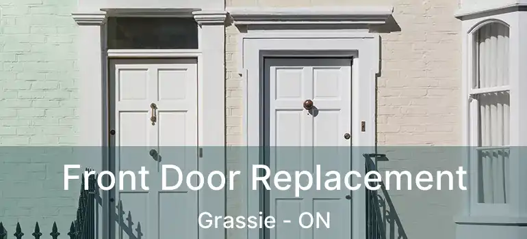 Front Door Replacement Grassie - ON