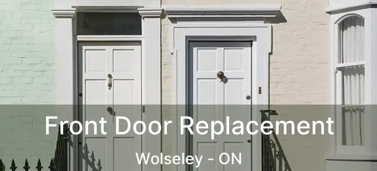  Front Door Replacement Wolseley - ON