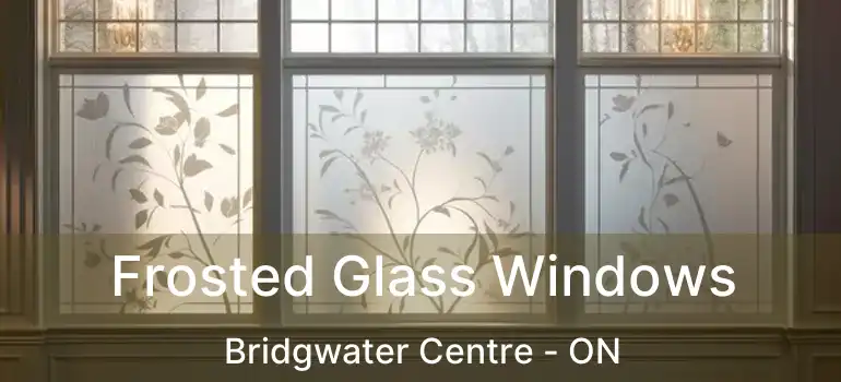  Frosted Glass Windows Bridgwater Centre - ON