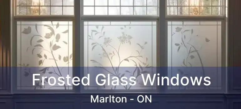  Frosted Glass Windows Marlton - ON