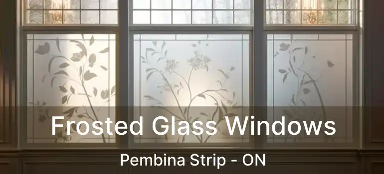  Frosted Glass Windows Pembina Strip - ON