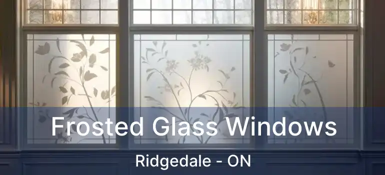  Frosted Glass Windows Ridgedale - ON