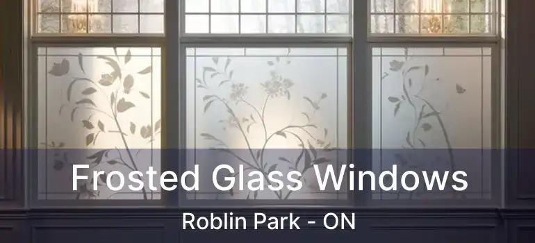  Frosted Glass Windows Roblin Park - ON