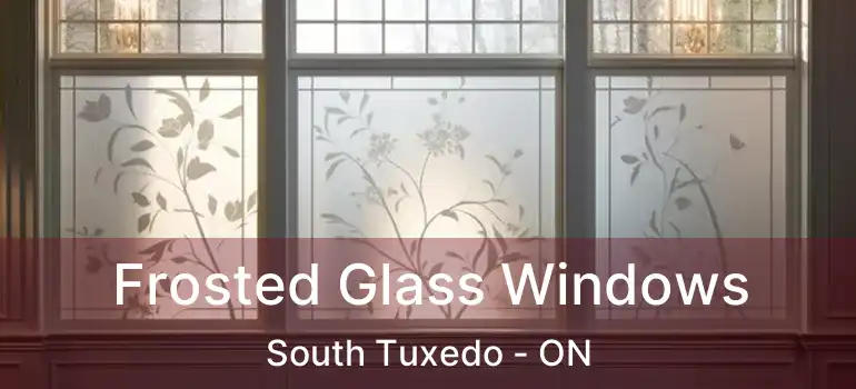  Frosted Glass Windows South Tuxedo - ON