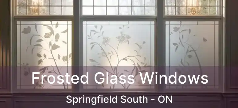  Frosted Glass Windows Springfield South - ON