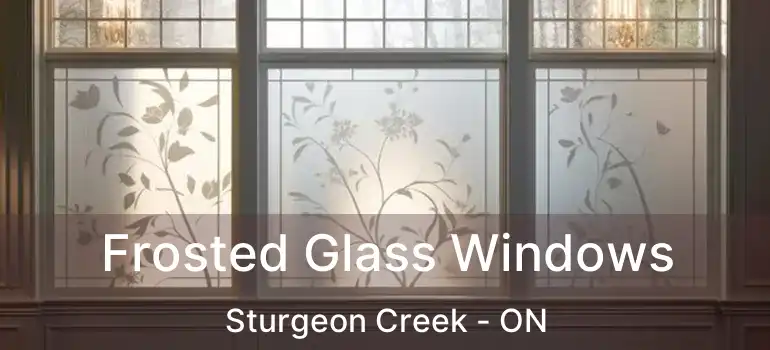  Frosted Glass Windows Sturgeon Creek - ON