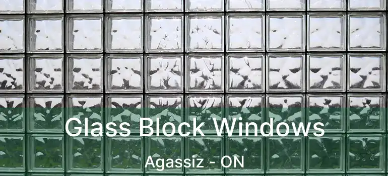  Glass Block Windows Agassiz - ON