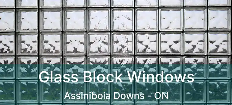  Glass Block Windows Assiniboia Downs - ON