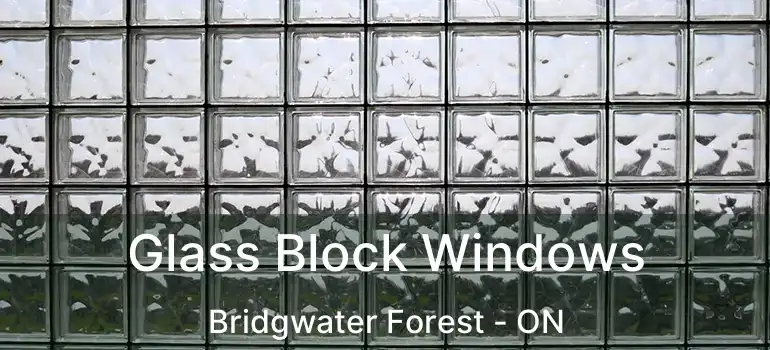 Glass Block Windows Bridgwater Forest - ON