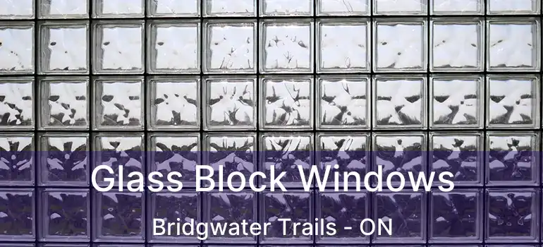  Glass Block Windows Bridgwater Trails - ON