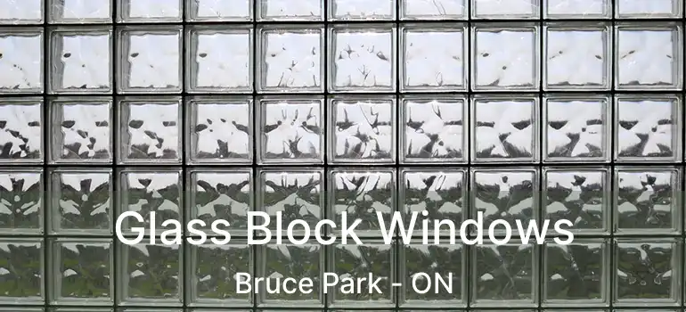  Glass Block Windows Bruce Park - ON