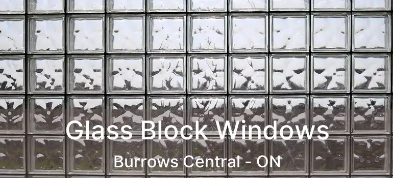  Glass Block Windows Burrows Central - ON