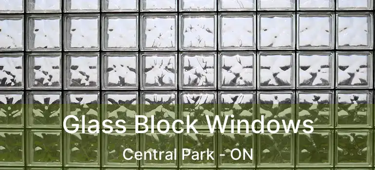  Glass Block Windows Central Park - ON